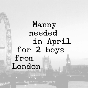 Family Traveling from London Manny for 2 boys in Los Angeles LA Mannies