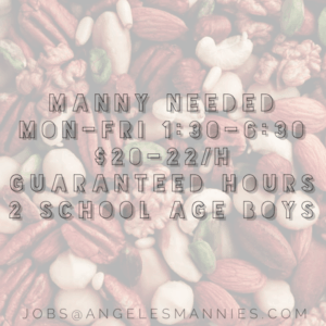 Super Manny Sought for Valley Based Family, Angeles Mannies LA Los High Profile Family Educated nannies